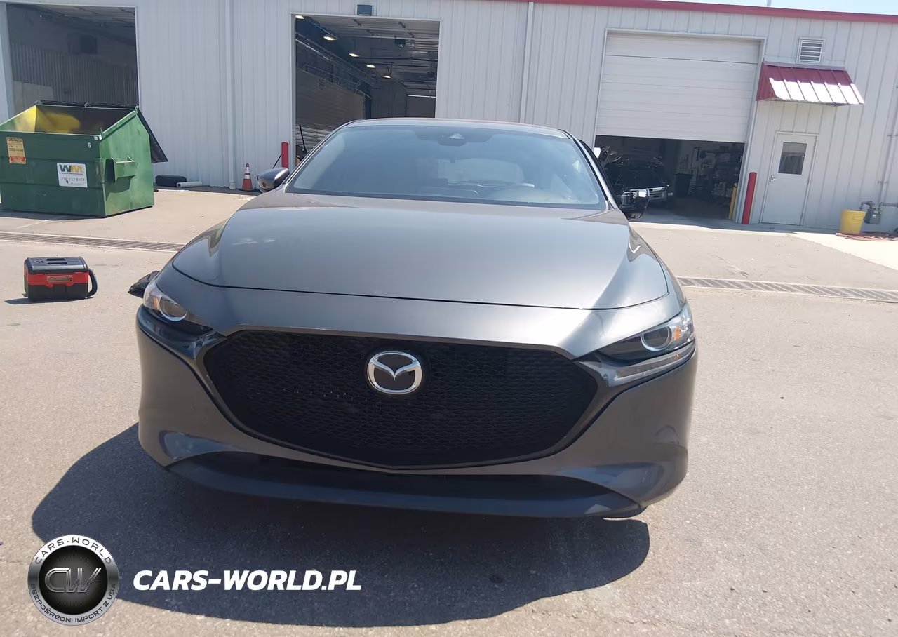 2019 Mazda Mazda3 Preferred Package VIN:JM1BPBMM4K1134150 - 12
