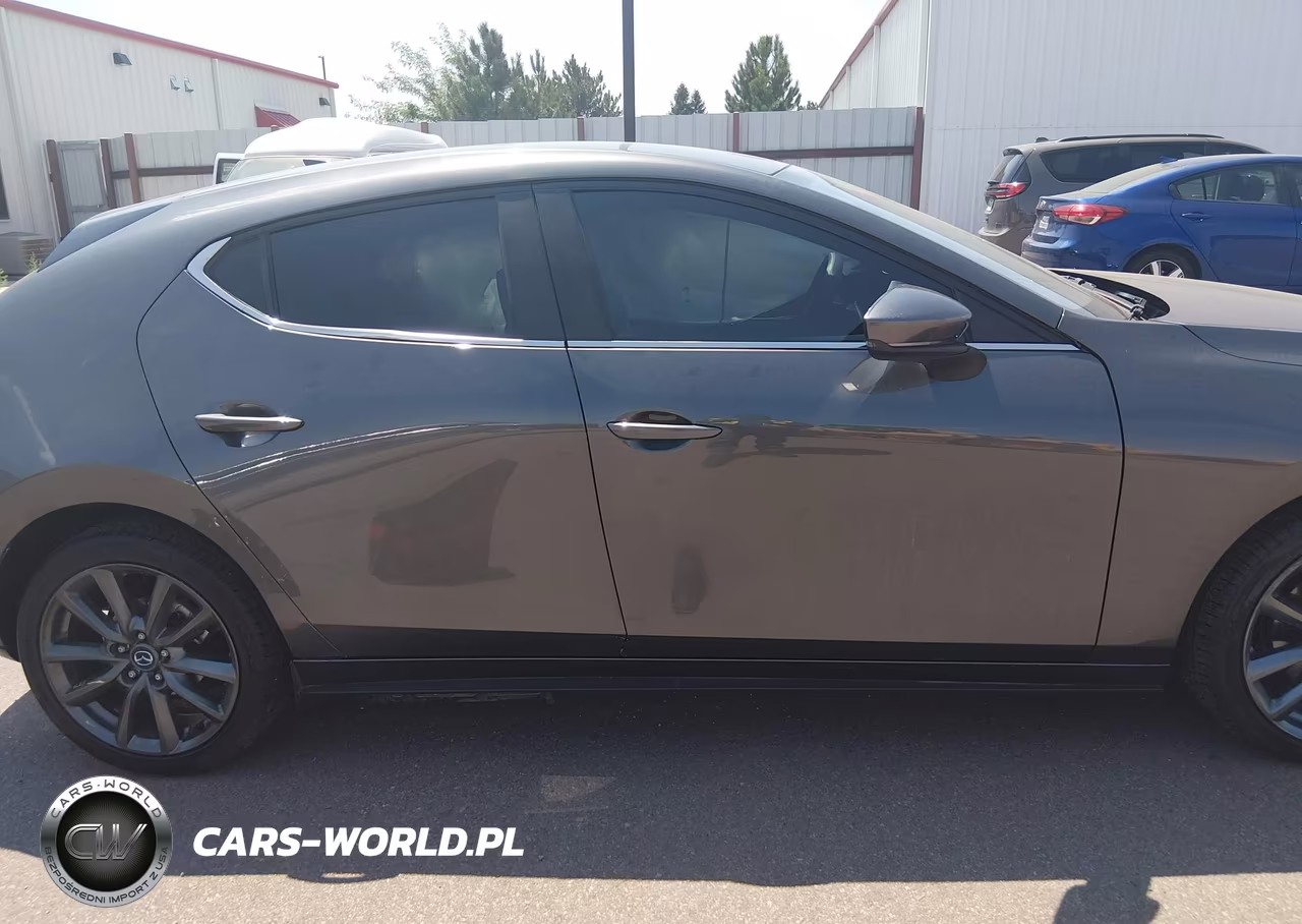 2019 Mazda Mazda3 Preferred Package VIN:JM1BPBMM4K1134150 - 13