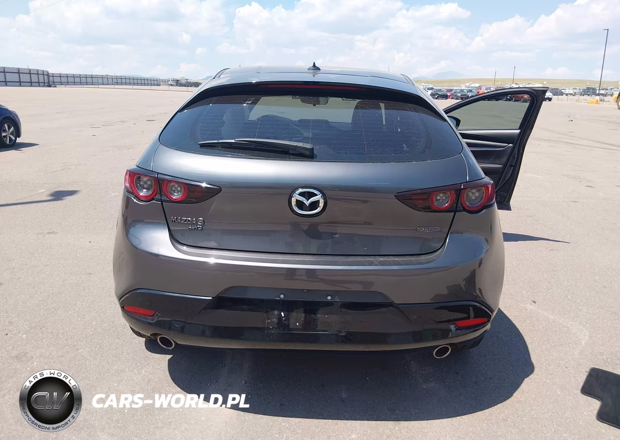 2019 Mazda Mazda3 Preferred Package VIN:JM1BPBMM4K1134150 - 16