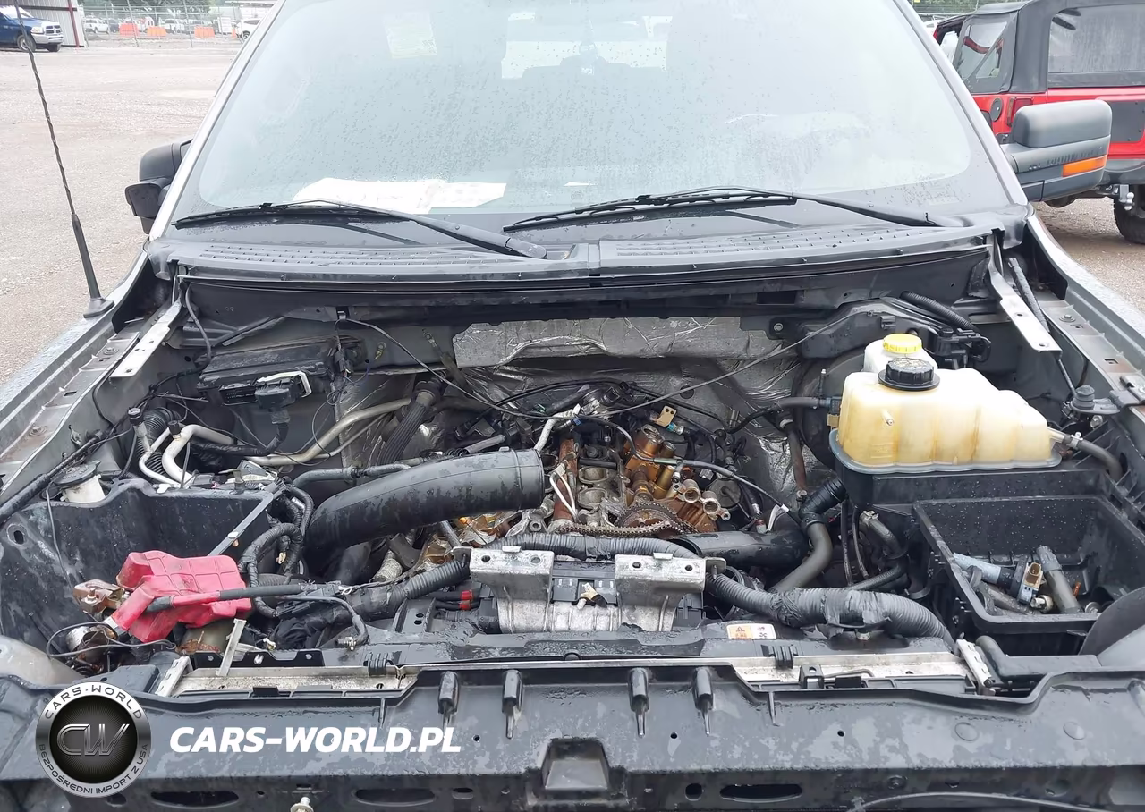2013 Ford F-150 Xlt VIN:1FTFX1ET0DFD21005 - 10