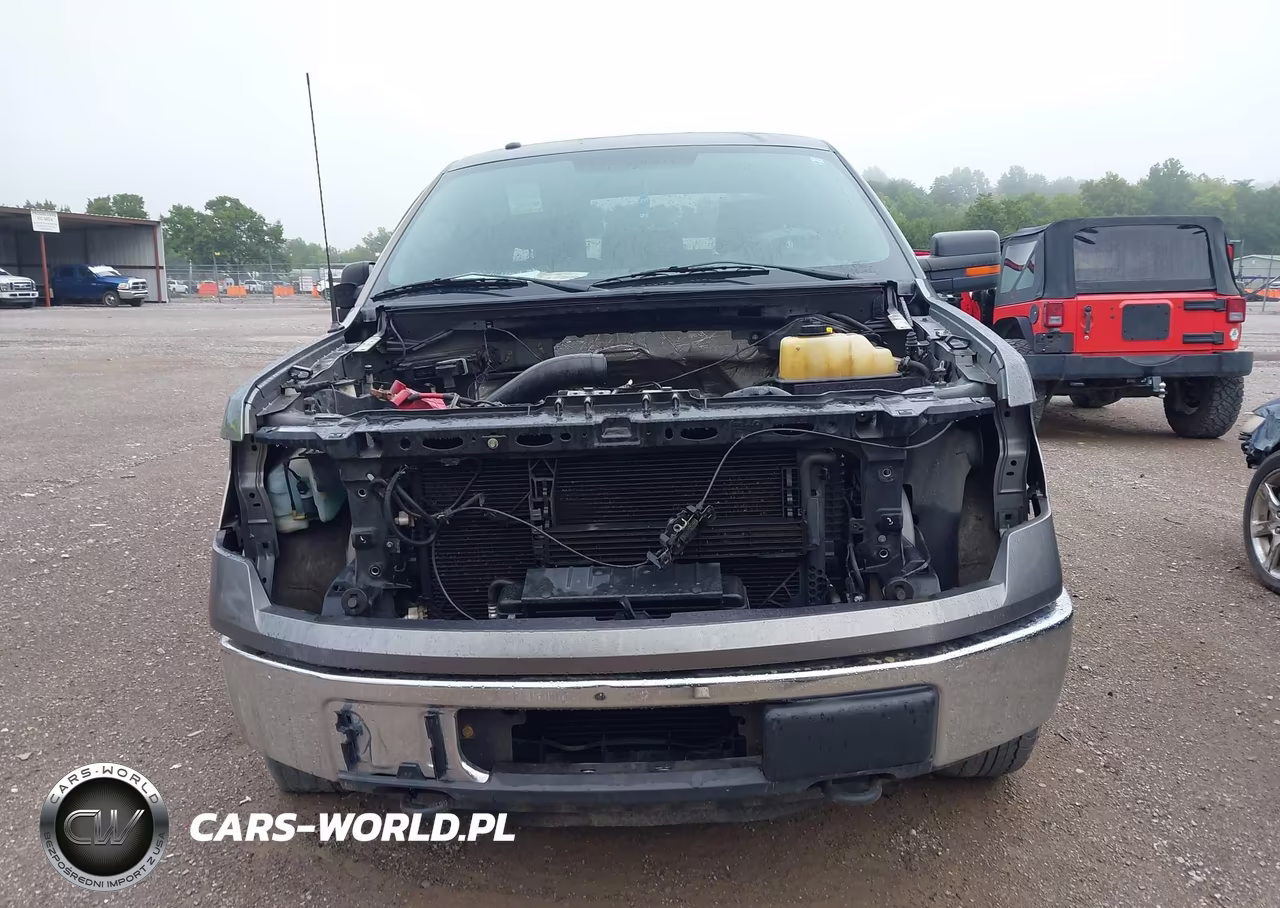 2013 Ford F-150 Xlt VIN:1FTFX1ET0DFD21005 - 12