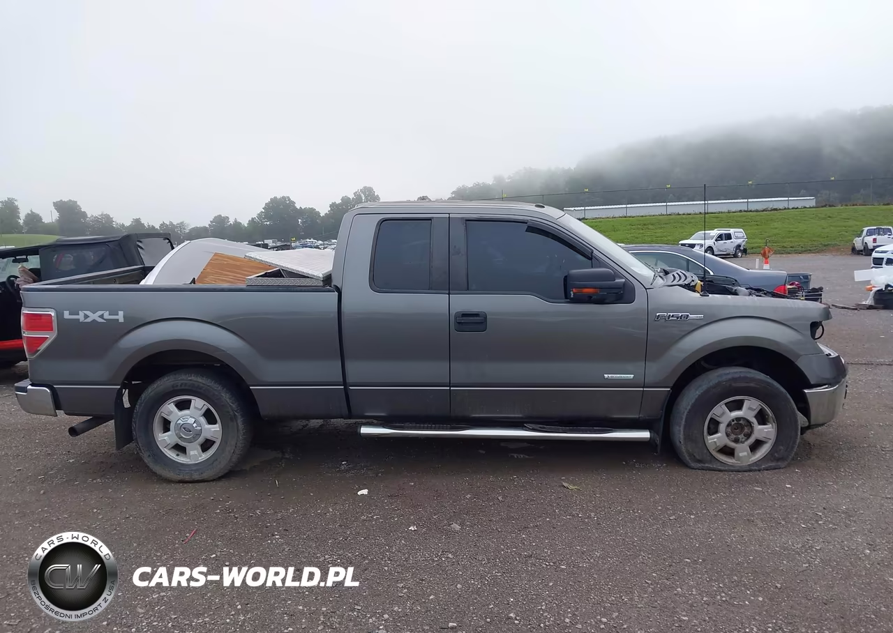 2013 Ford F-150 Xlt VIN:1FTFX1ET0DFD21005 - 13