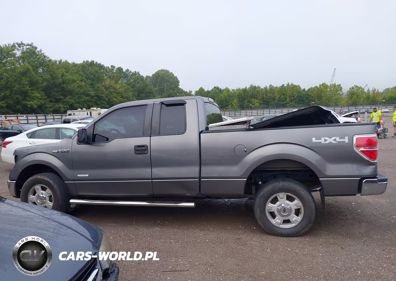 2013 Ford F-150 Xlt VIN:1FTFX1ET0DFD21005 - 14