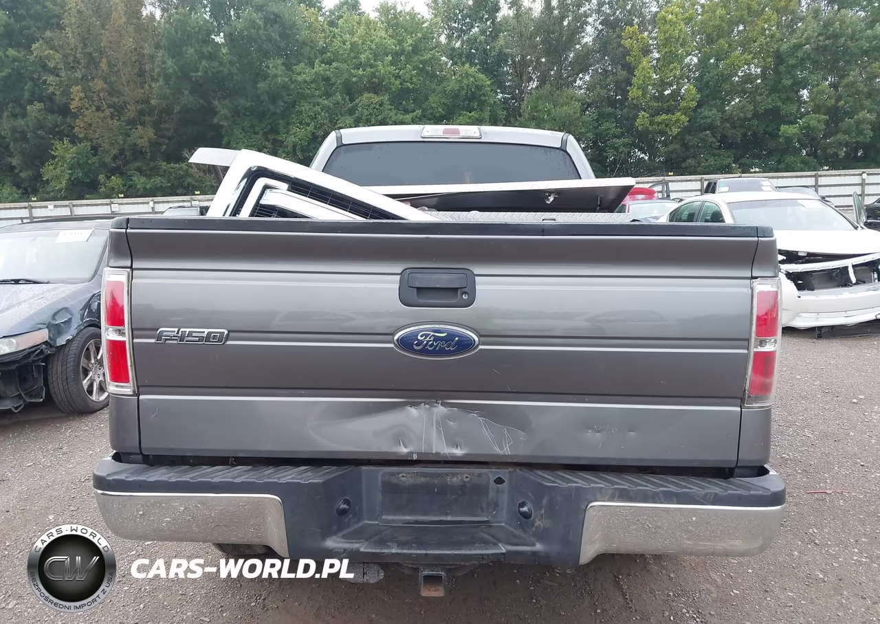 2013 Ford F-150 Xlt VIN:1FTFX1ET0DFD21005 - 16