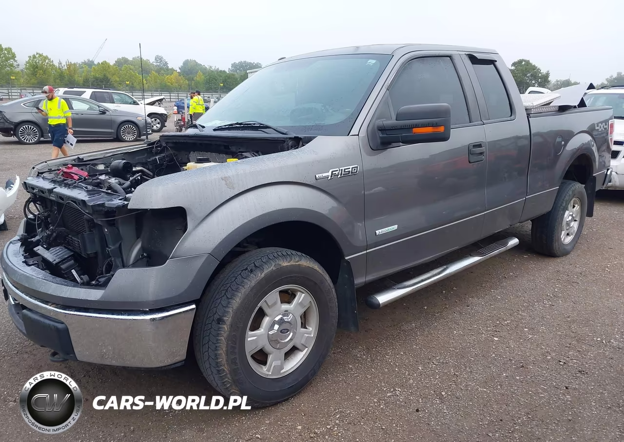 2013 Ford F-150 Xlt VIN:1FTFX1ET0DFD21005 - 2