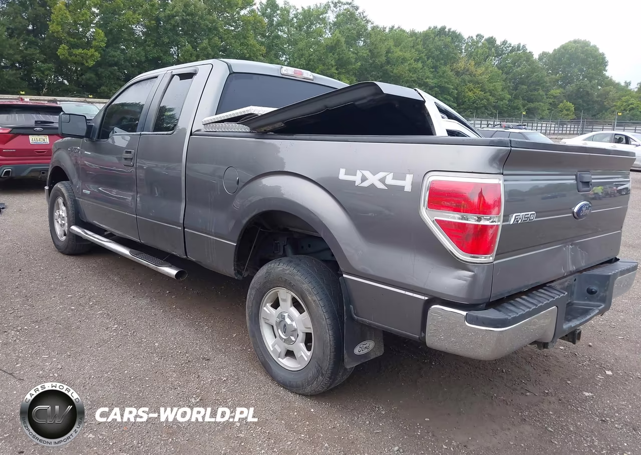 2013 Ford F-150 Xlt VIN:1FTFX1ET0DFD21005 - 3