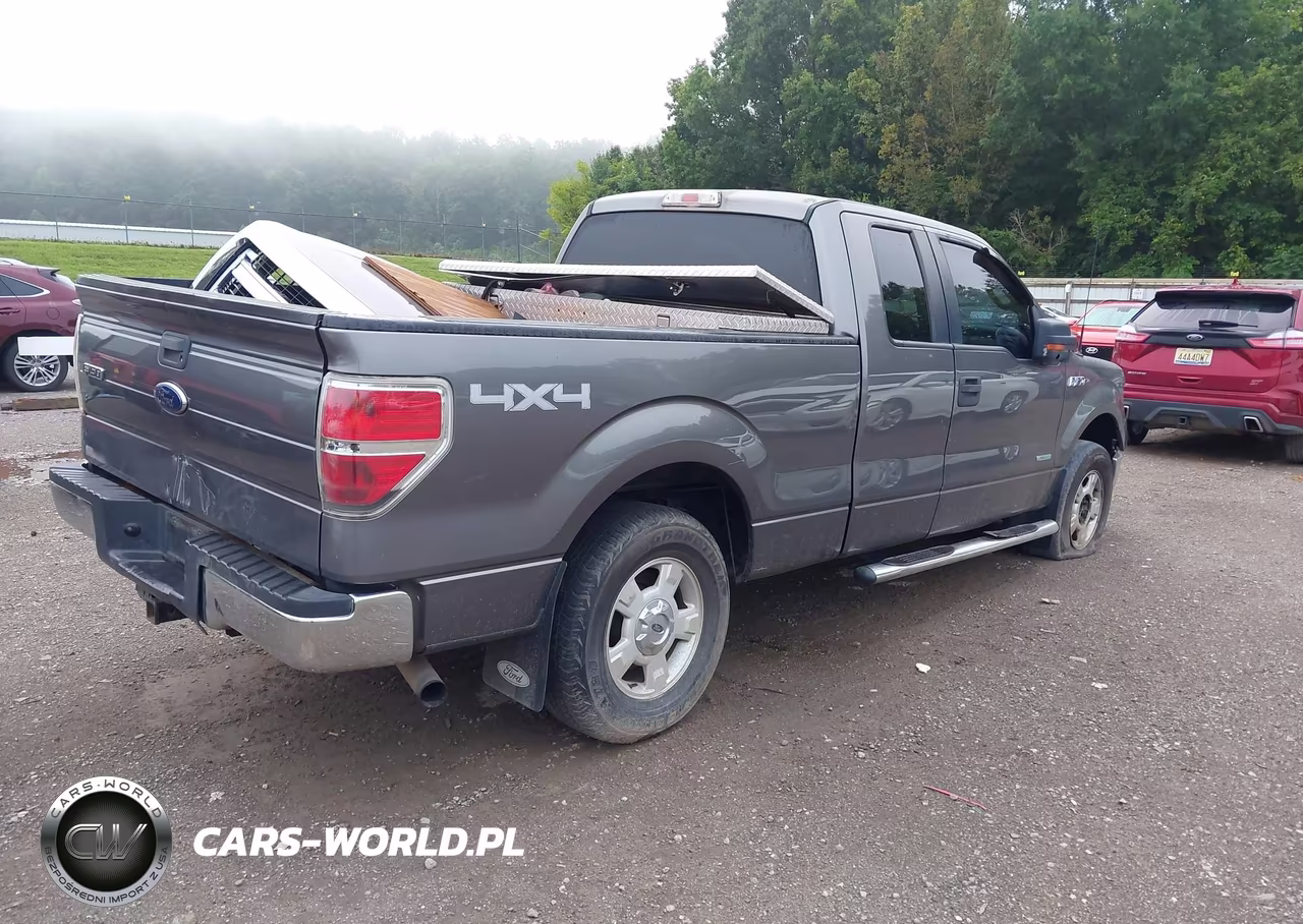 2013 Ford F-150 Xlt VIN:1FTFX1ET0DFD21005 - 4