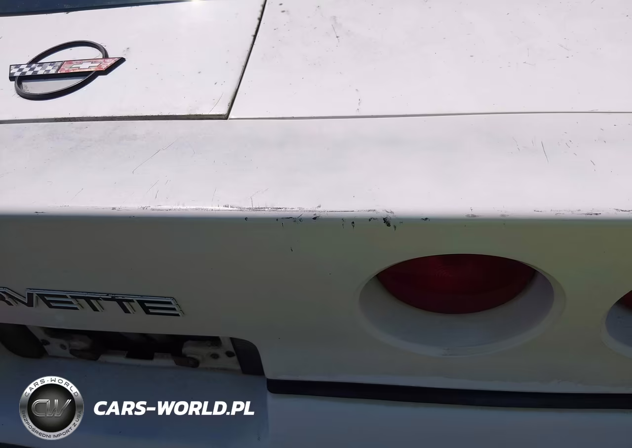 1989 Chevrolet Corvette VIN:1G1YY2185K5117924 - 13