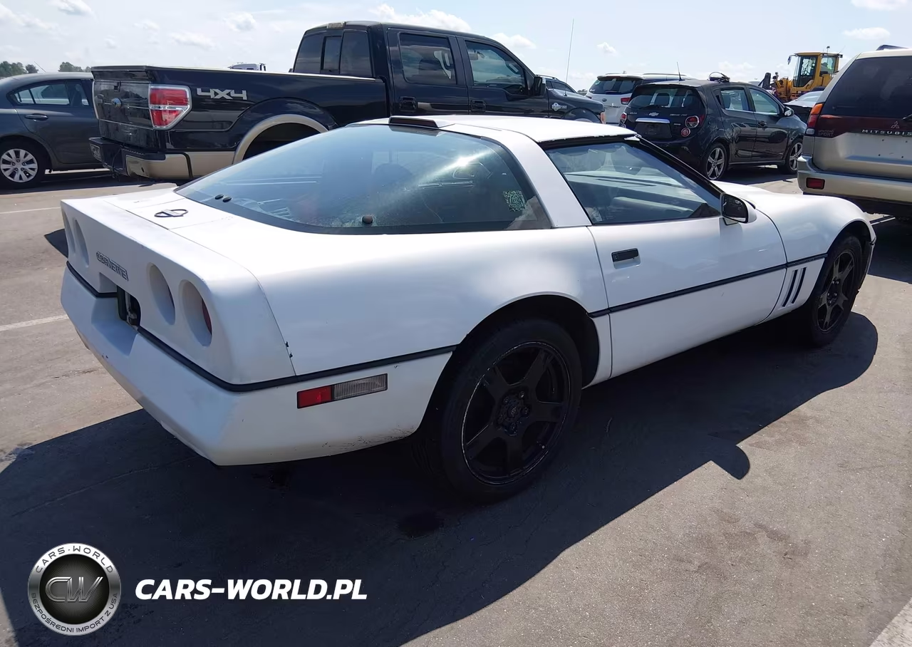 1989 Chevrolet Corvette VIN:1G1YY2185K5117924 - 4