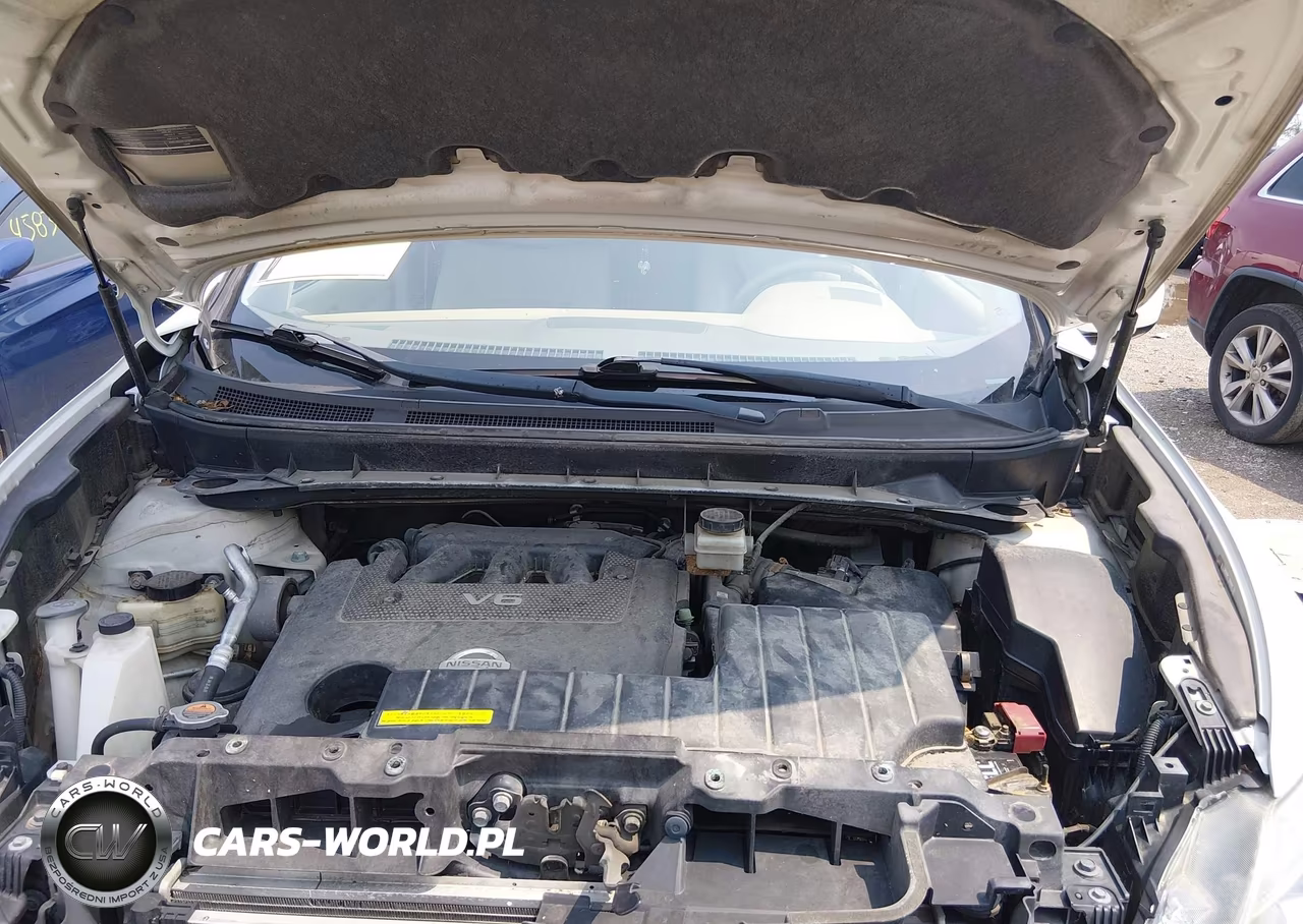 2009 Nissan Murano Sl VIN:JN8AZ18W19W139688 - 10