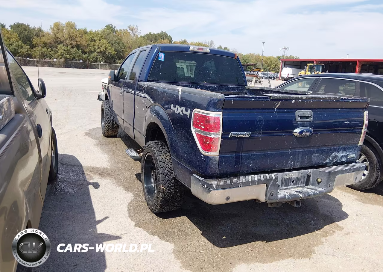 2010 Ford F-150 Fx4-Lariat-Xl-Xlt VIN:1FTFX1EV6AFA83884 - 3