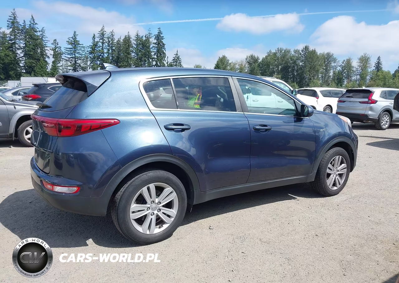 2017 Kia Sportage Lx VIN:KNDPMCAC3H7202718 - 12