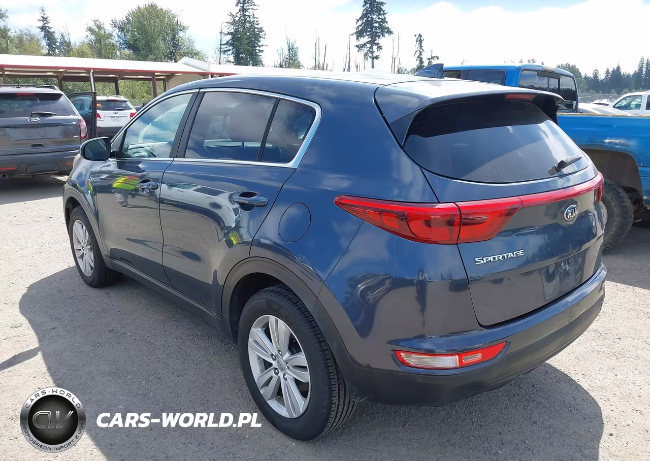 2017 Kia Sportage Lx VIN:KNDPMCAC3H7202718 - 3