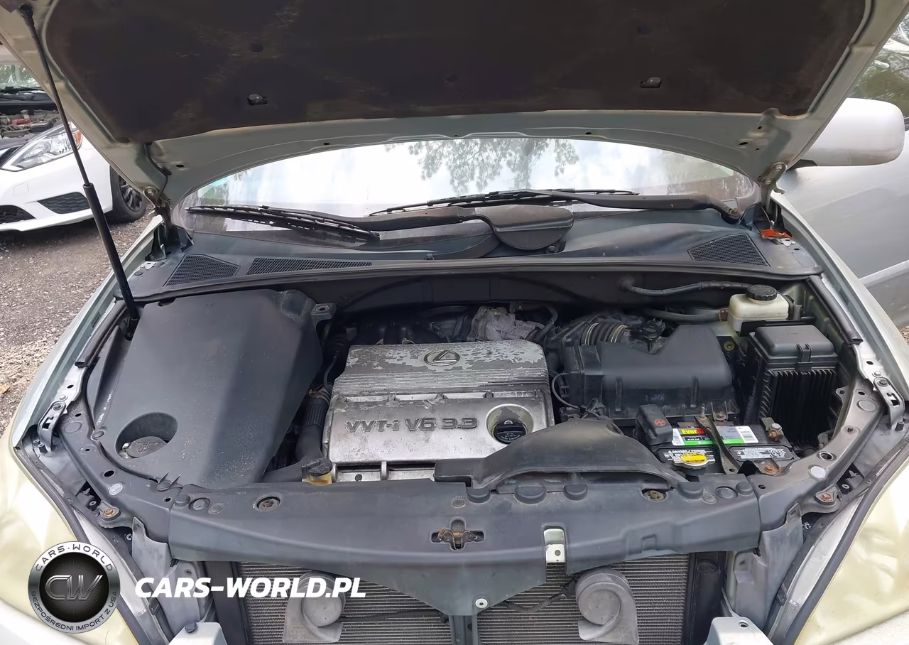 2004 Lexus Rx 330 VIN:2T2GA31U44C010472 - 10