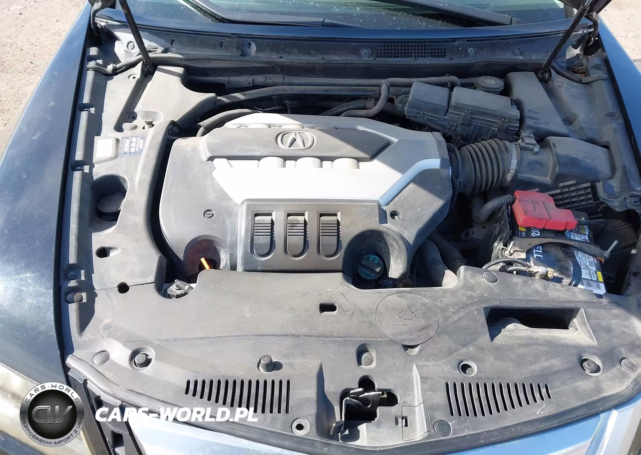 2010 Acura Rl 3.7 VIN:JH4KB2F67AC001896 - 10