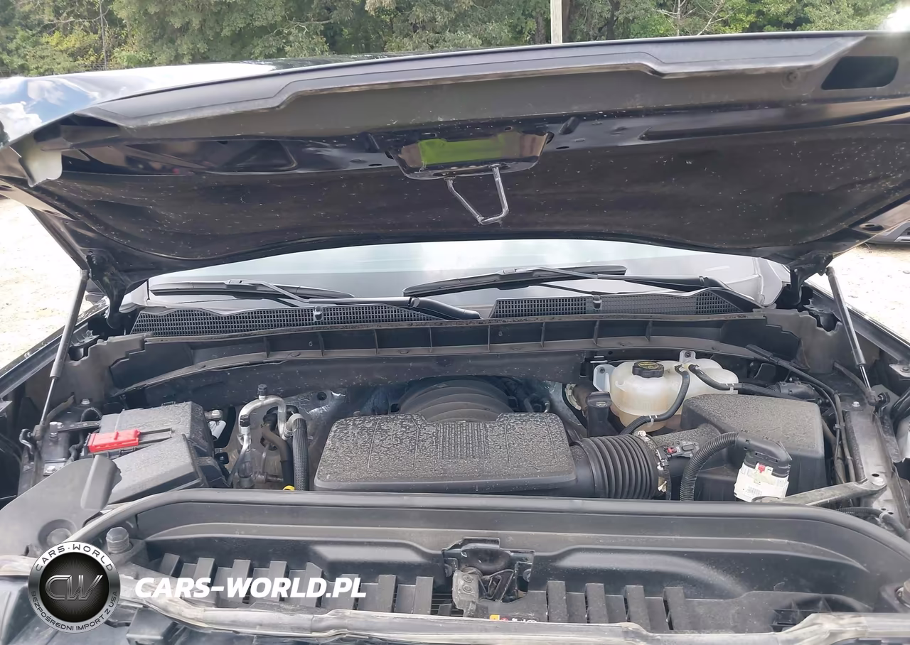2025 GMC Sierra 1500 4Wd Short Box At4 VIN:3GTUUEEL8SG124344 - 10