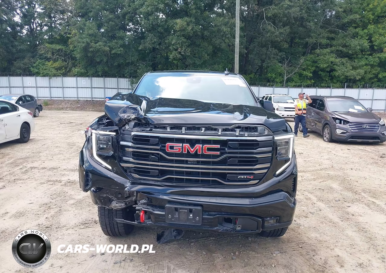 2025 GMC Sierra 1500 4Wd Short Box At4 VIN:3GTUUEEL8SG124344 - 13
