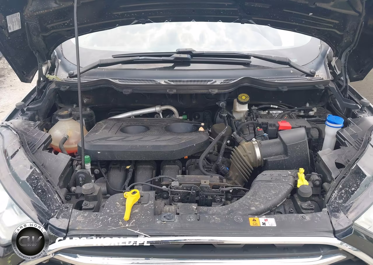 2019 Ford Ecosport Titanium VIN:MAJ6S3KL6KC307693 - 10
