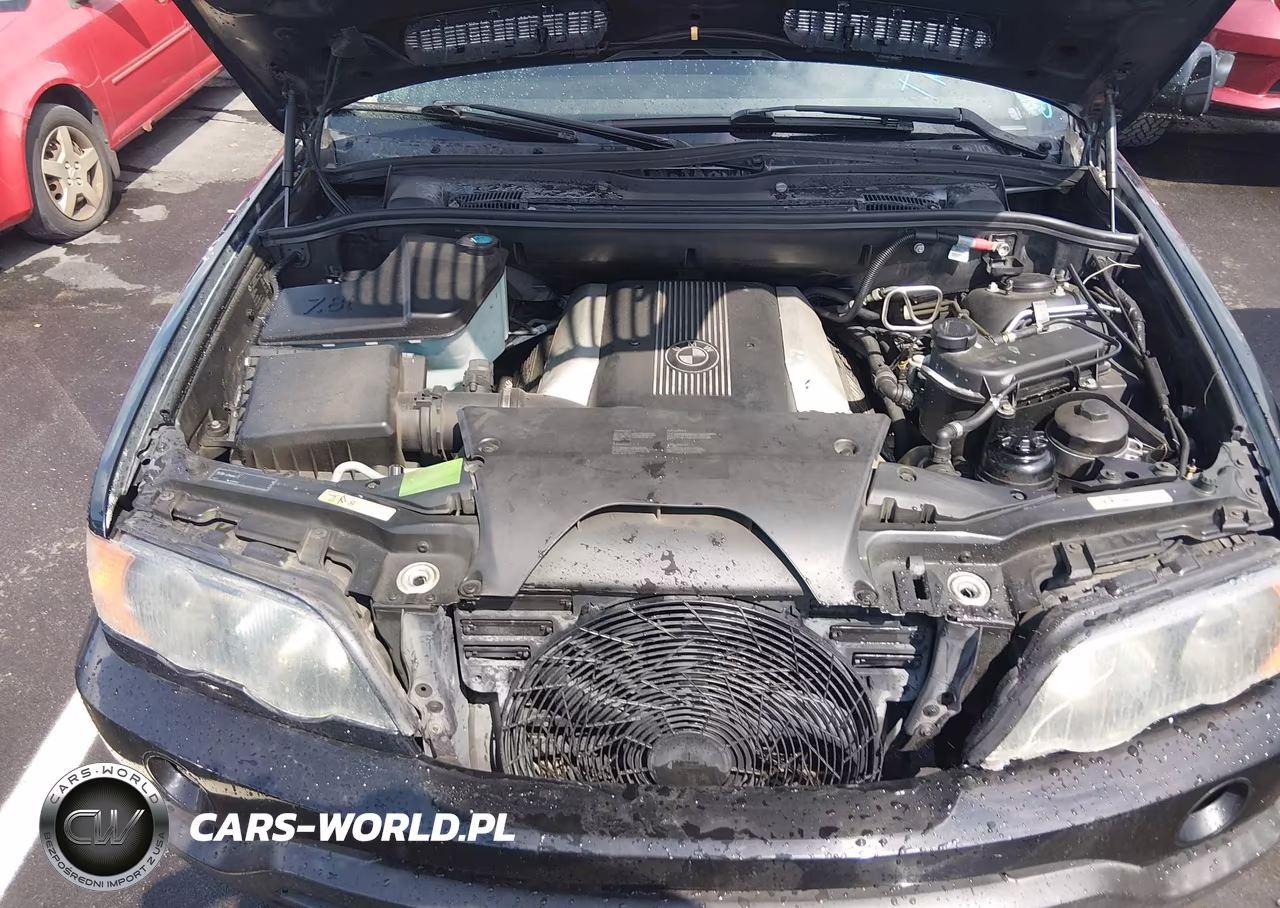 2002 BMW X5 4.4I VIN:5UXFB335X2LH37383 - 10