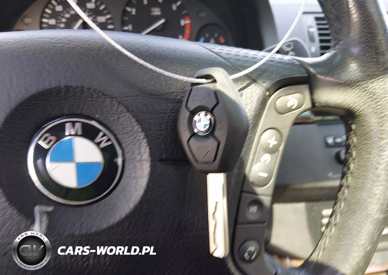 2002 BMW X5 4.4I VIN:5UXFB335X2LH37383 - 11