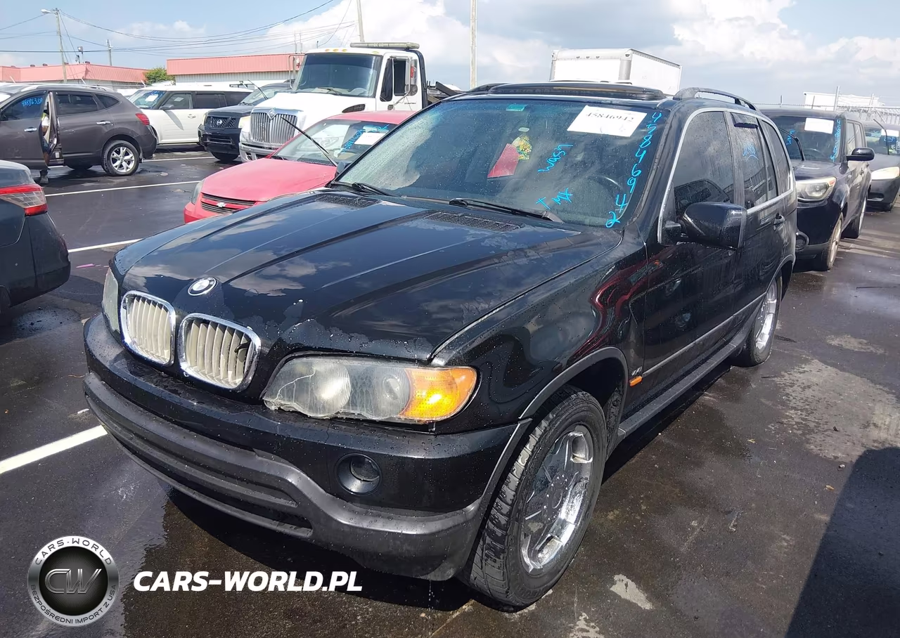 2002 BMW X5 4.4I VIN:5UXFB335X2LH37383 - 2