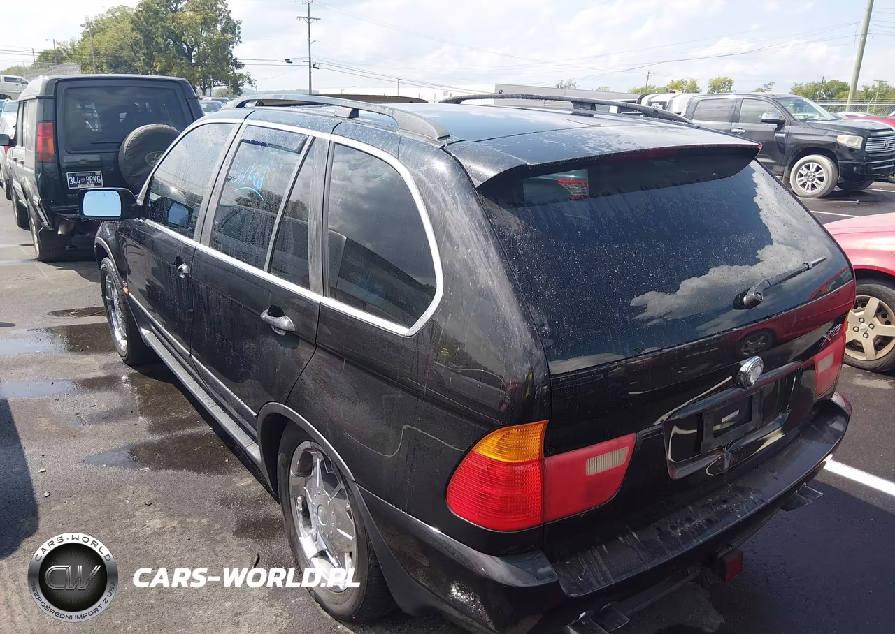 2002 BMW X5 4.4I VIN:5UXFB335X2LH37383 - 3