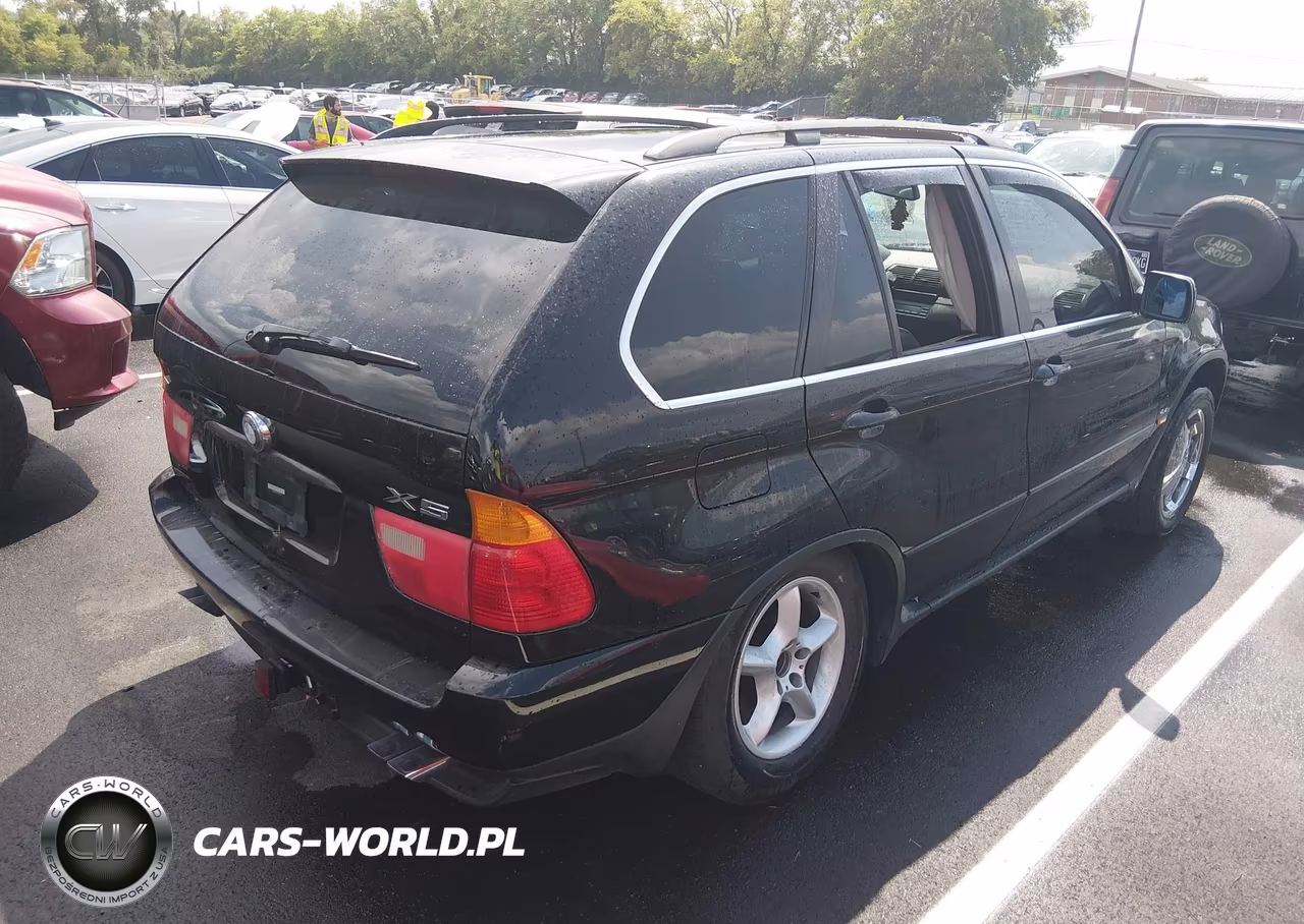 2002 BMW X5 4.4I VIN:5UXFB335X2LH37383 - 4