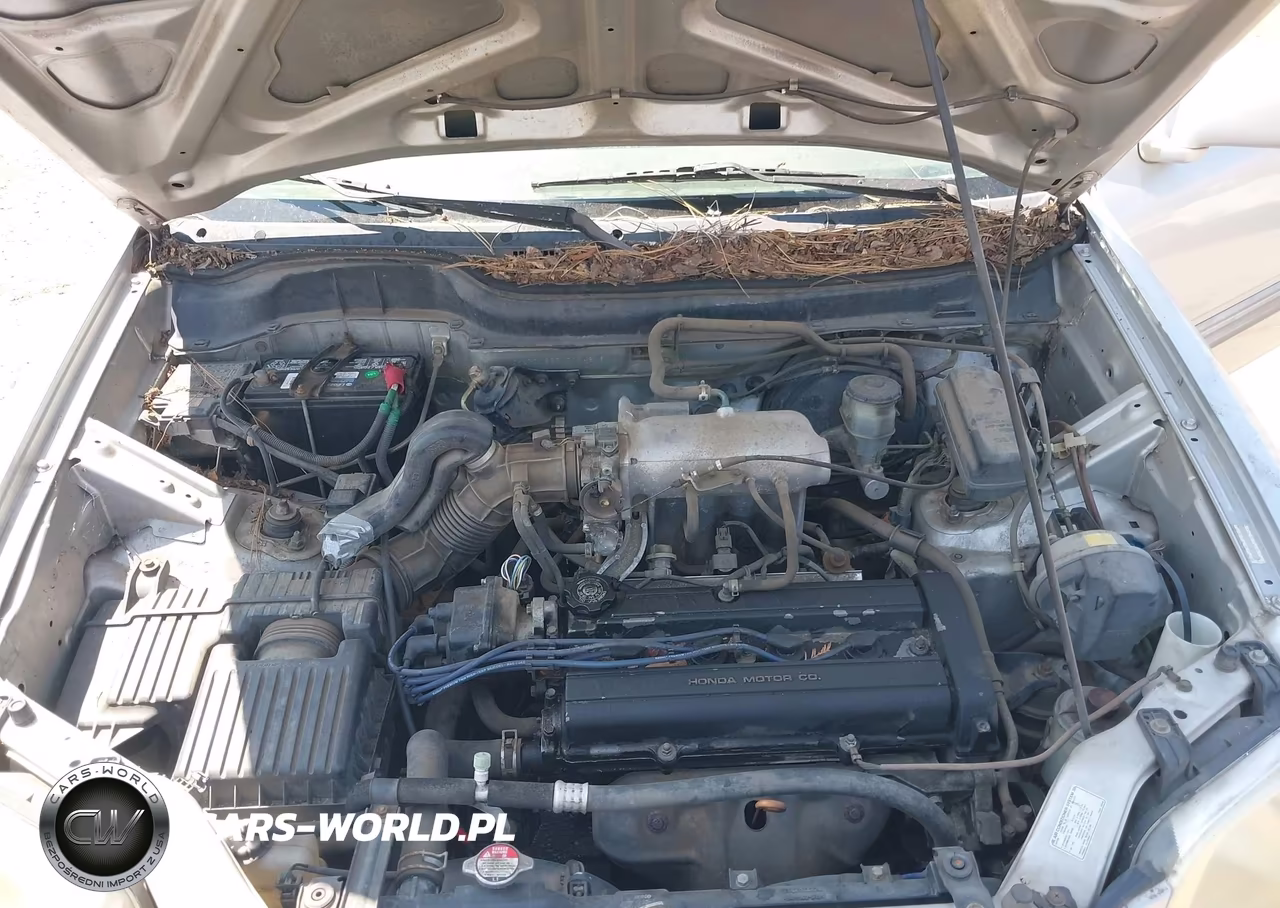 1998 Honda Cr-V Ex VIN:JHLRD1863WC104616 - 10