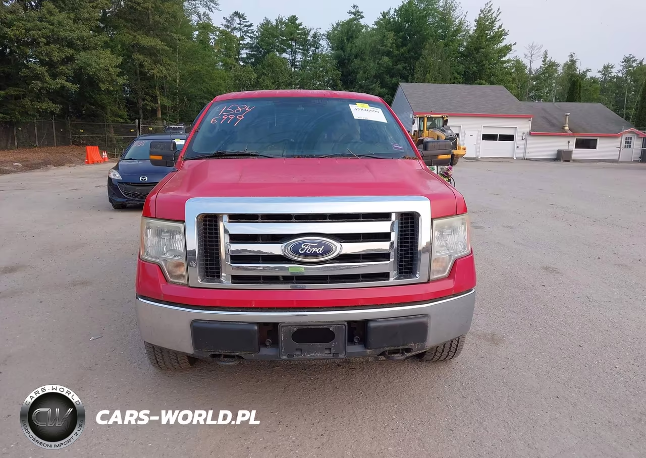 2010 Ford F-150 Fx4-Lariat-Xl-Xlt VIN:1FTFX1EV9AFD69969 - 12
