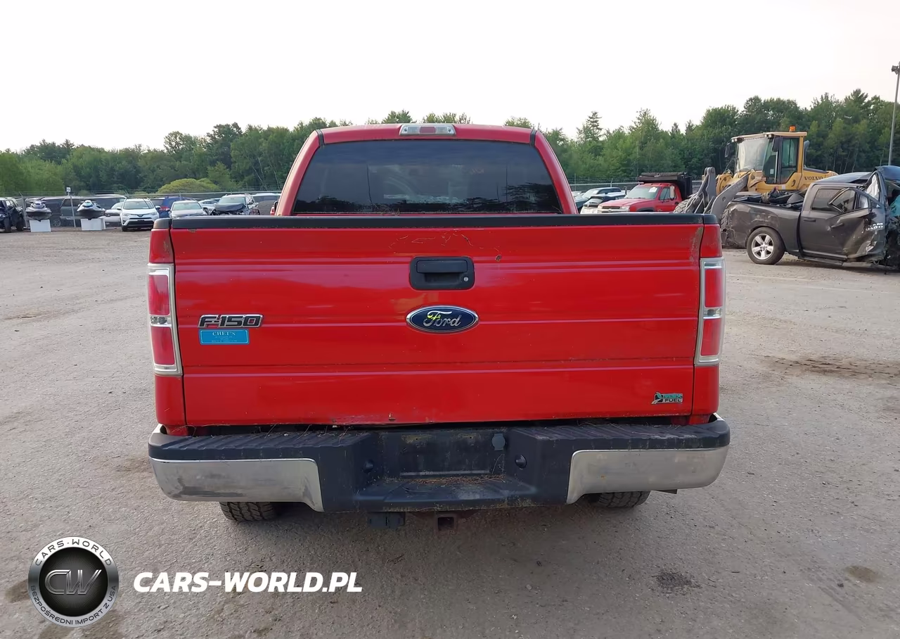 2010 Ford F-150 Fx4-Lariat-Xl-Xlt VIN:1FTFX1EV9AFD69969 - 16