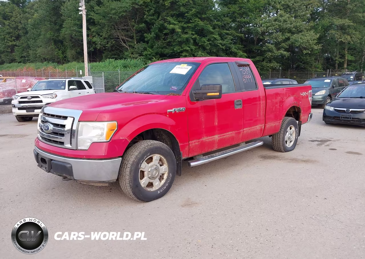 2010 Ford F-150 Fx4-Lariat-Xl-Xlt VIN:1FTFX1EV9AFD69969 - 2