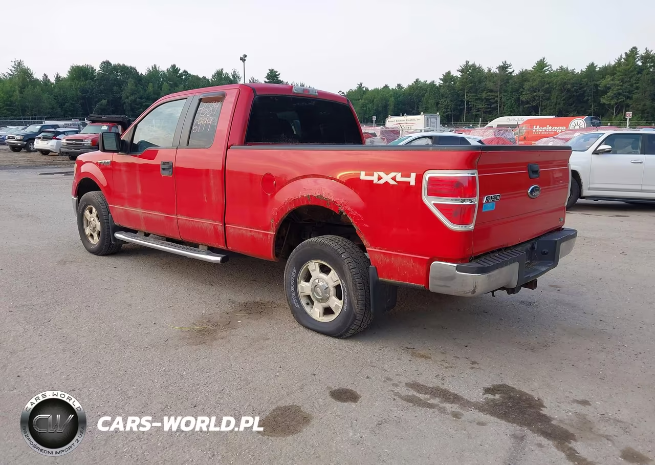 2010 Ford F-150 Fx4-Lariat-Xl-Xlt VIN:1FTFX1EV9AFD69969 - 3