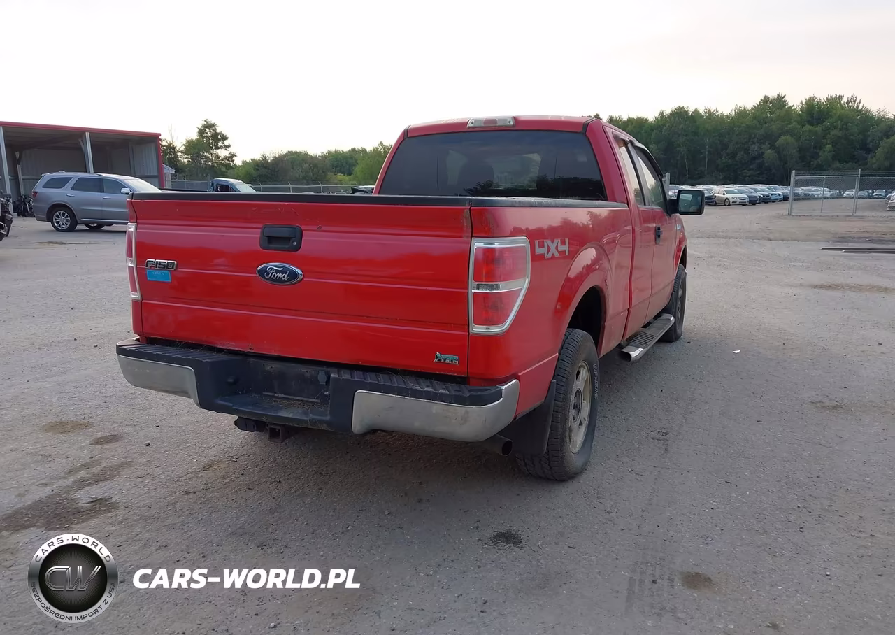 2010 Ford F-150 Fx4-Lariat-Xl-Xlt VIN:1FTFX1EV9AFD69969 - 4