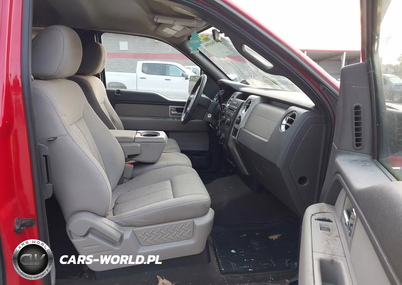 2010 Ford F-150 Fx4-Lariat-Xl-Xlt VIN:1FTFX1EV9AFD69969 - 5