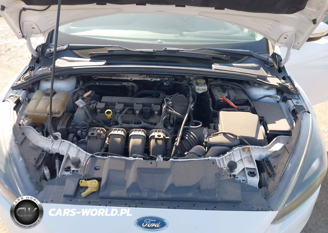2017 Ford Focus Sel VIN:1FADP3H21HL257527 - 10