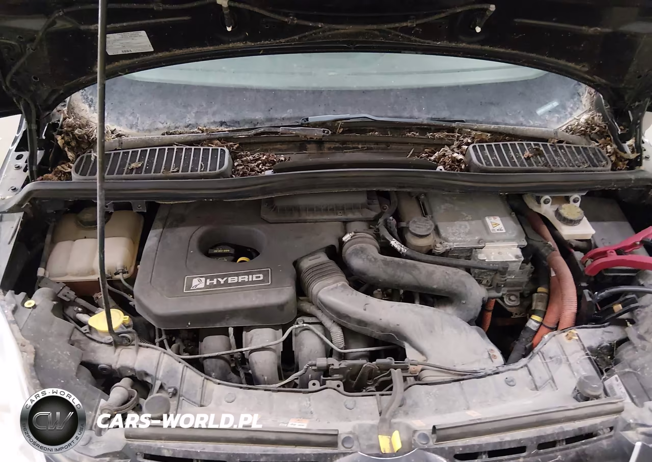2013 Ford C-Max Hybrid Sel VIN:1FADP5BU7DL552387 - 10