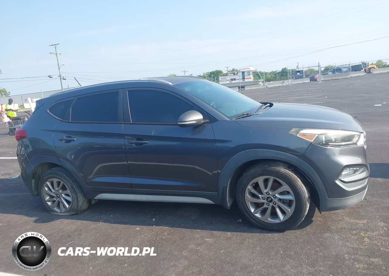 2017 Hyundai Tucson Eco VIN:KM8J33A26HU371063 - 13