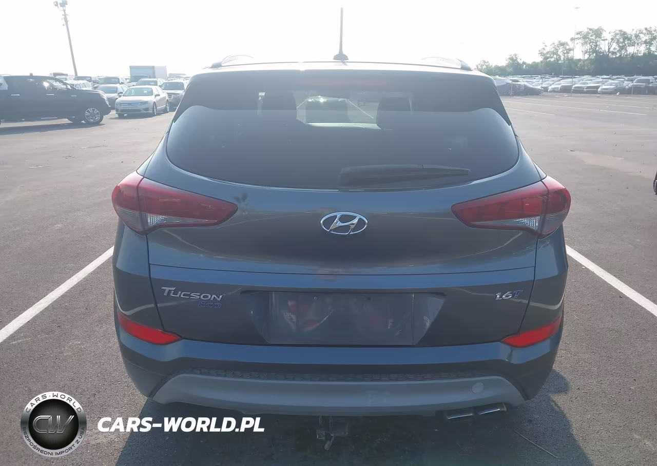 2017 Hyundai Tucson Eco VIN:KM8J33A26HU371063 - 16