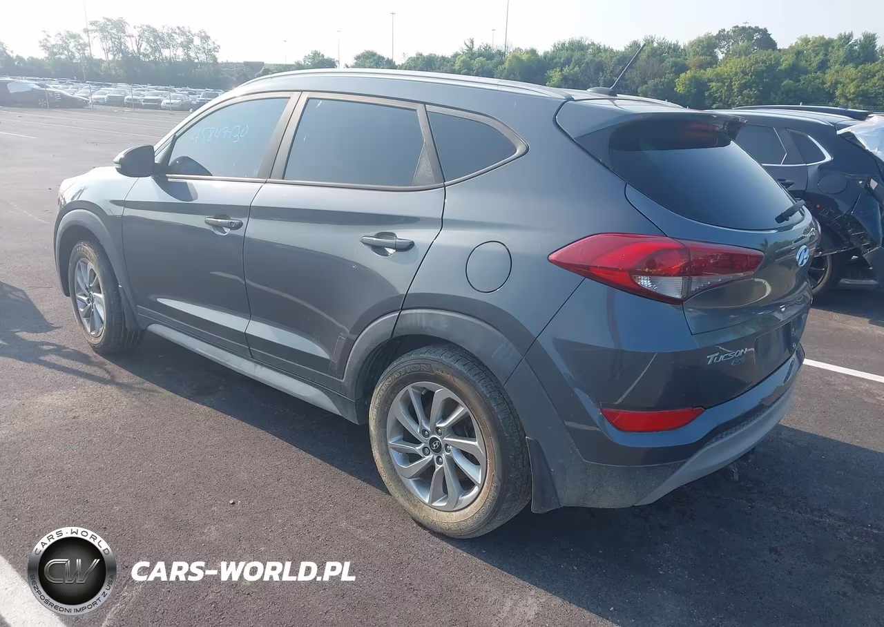 2017 Hyundai Tucson Eco VIN:KM8J33A26HU371063 - 3