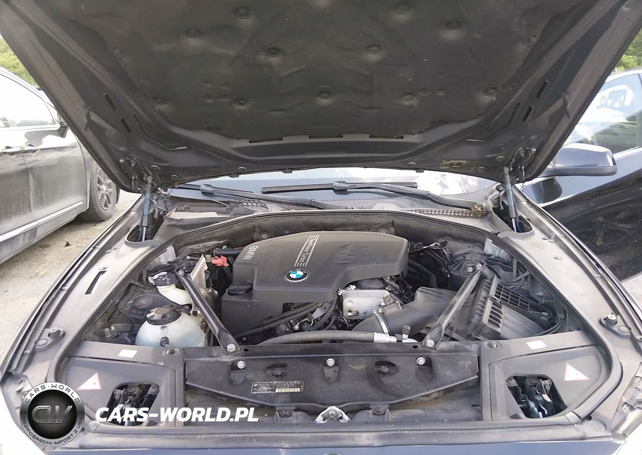 2013 BMW 528I VIN:WBAXG5C58DD229679 - 10