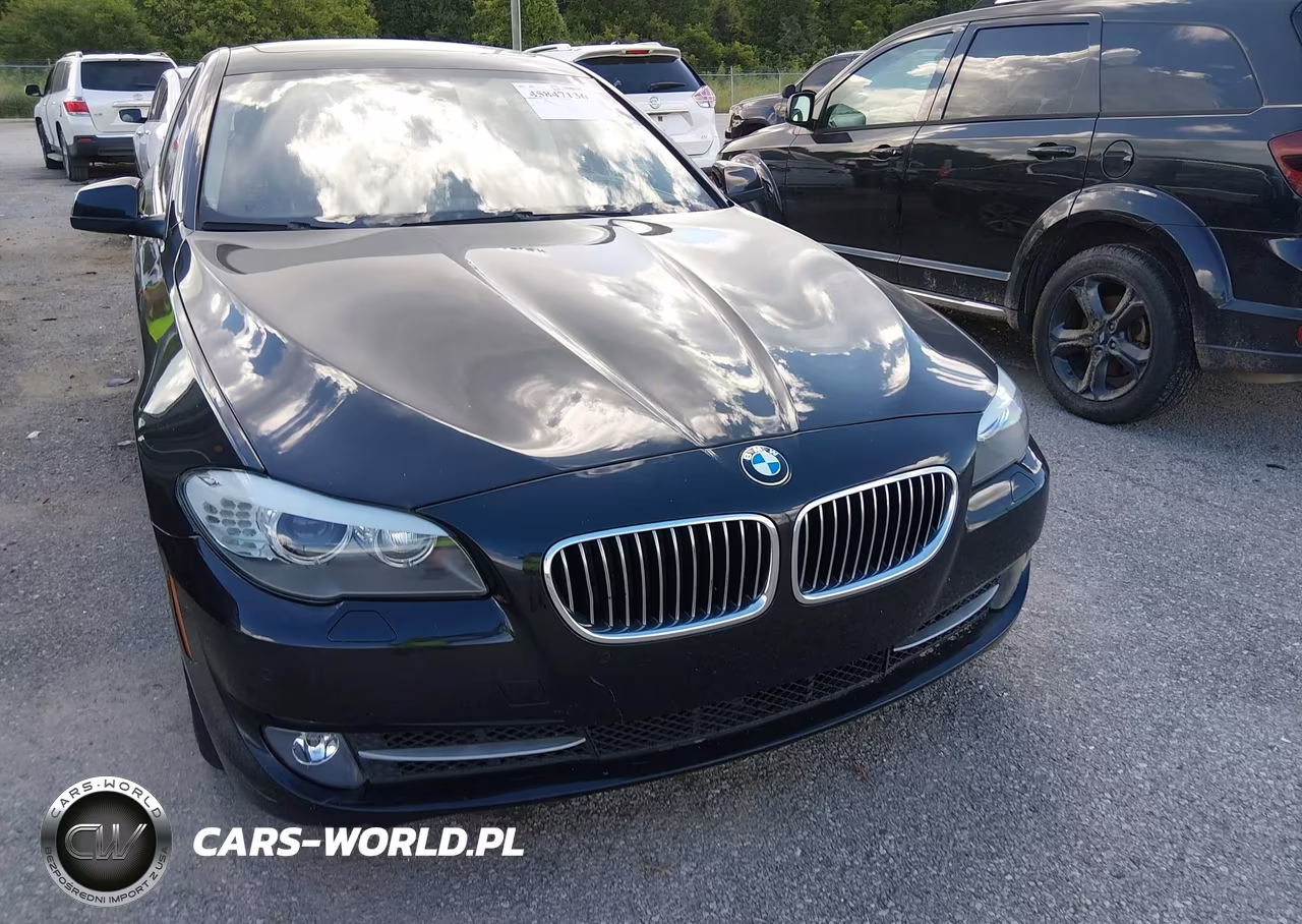 2013 BMW 528I VIN:WBAXG5C58DD229679 - 6