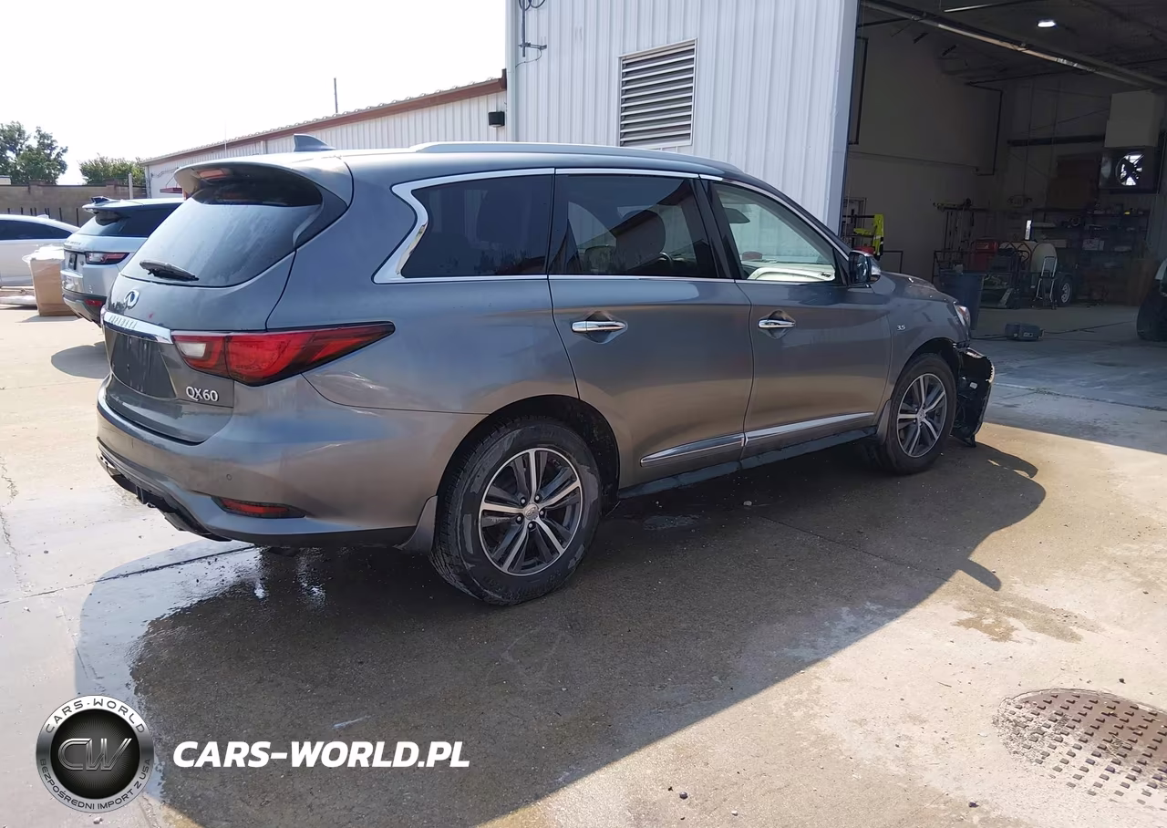 2019 Infiniti Qx60 Luxe-Pure VIN:5N1DL0MM6KC531142 - 4