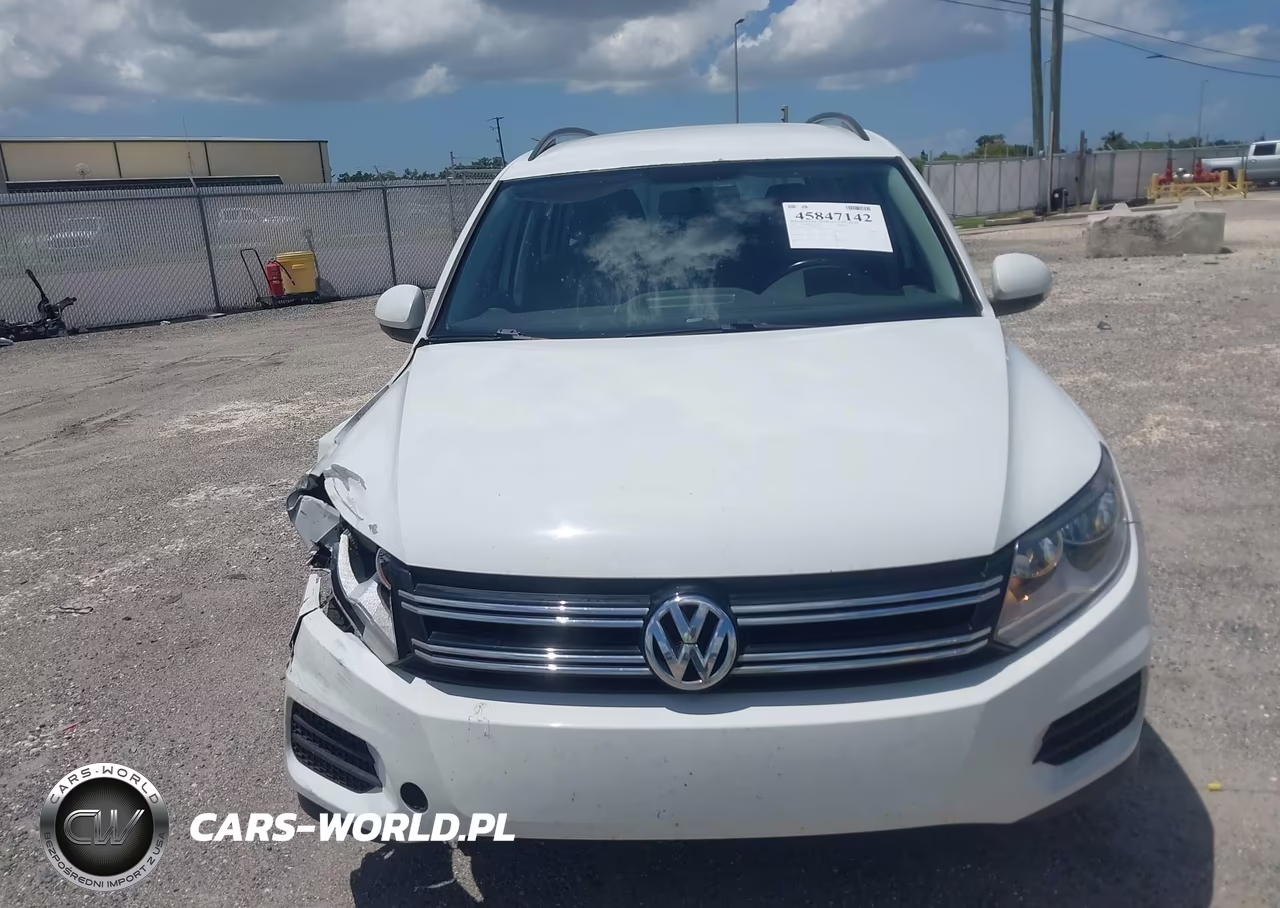 2015 Volkswagen Tiguan S VIN:WVGAV7AX7FW505321 - 12