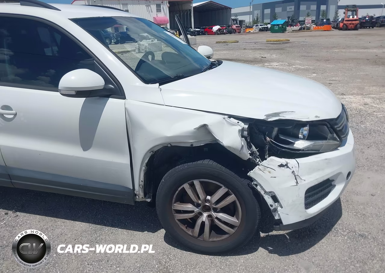 2015 Volkswagen Tiguan S VIN:WVGAV7AX7FW505321 - 17