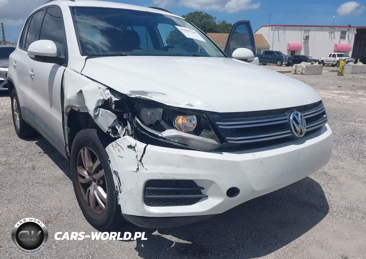 2015 Volkswagen Tiguan S VIN:WVGAV7AX7FW505321 - 18