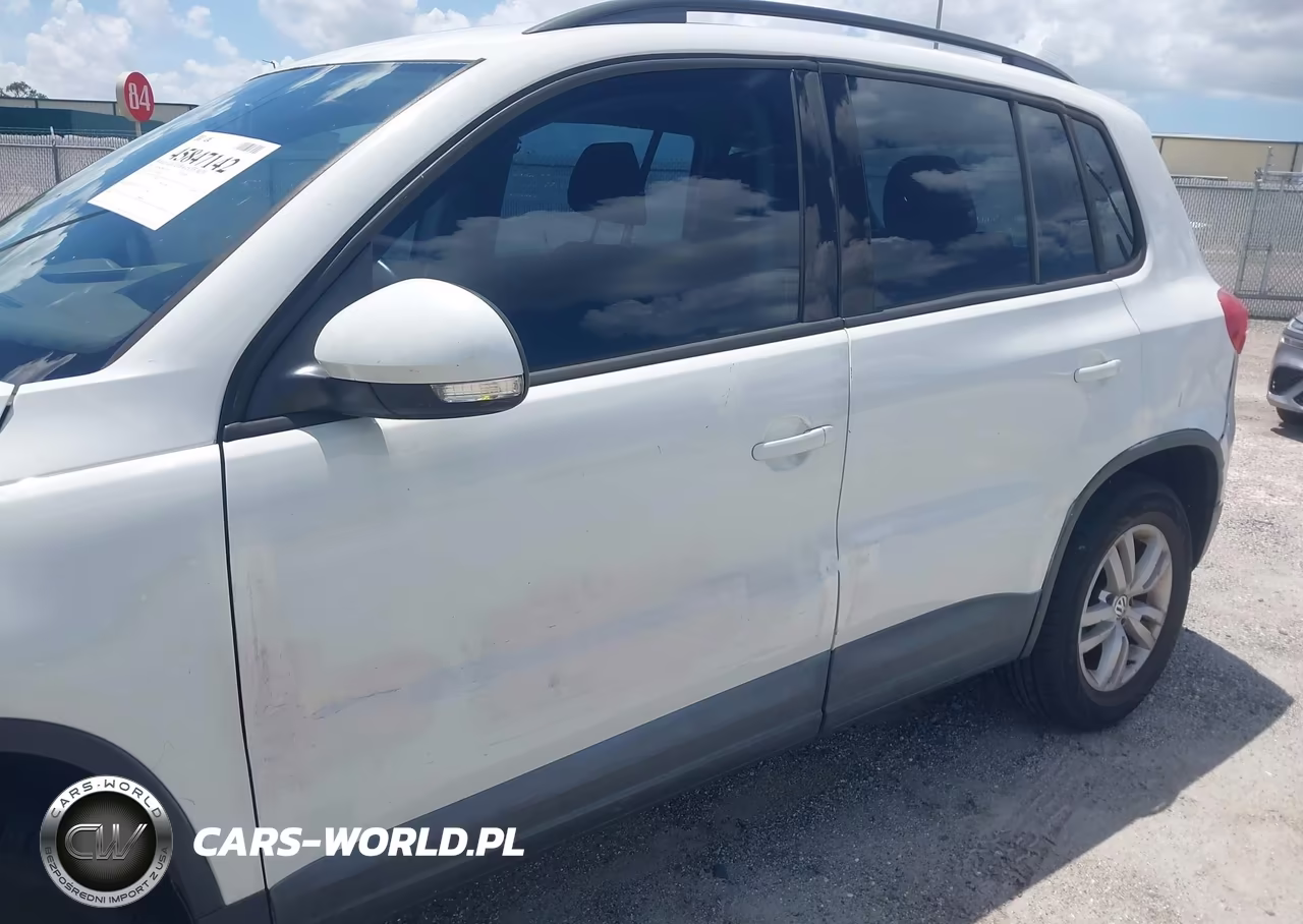 2015 Volkswagen Tiguan S VIN:WVGAV7AX7FW505321 - 19