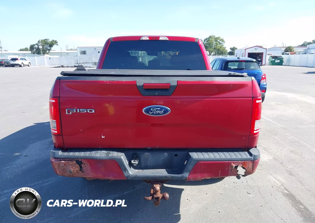 2017 Ford F-150 Xlt VIN:1FTEW1EP9HKD95005 - 16