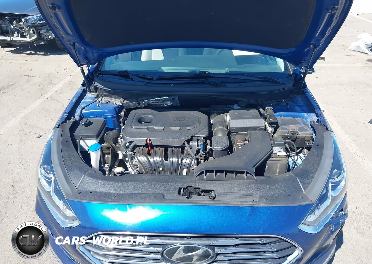 2019 Hyundai Sonata Se VIN:5NPE24AF2KH792944 - 10