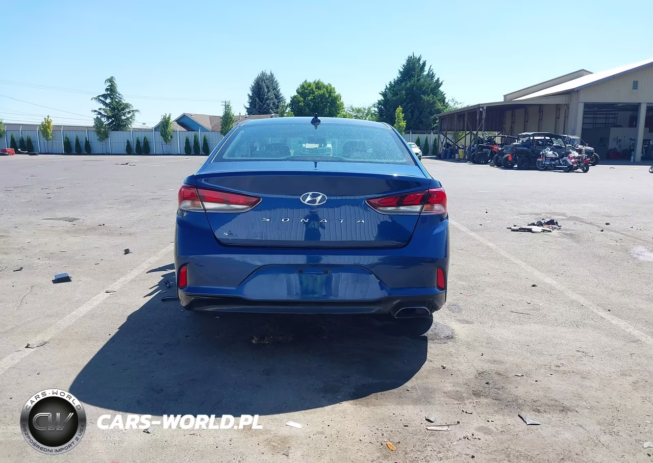 2019 Hyundai Sonata Se VIN:5NPE24AF2KH792944 - 17