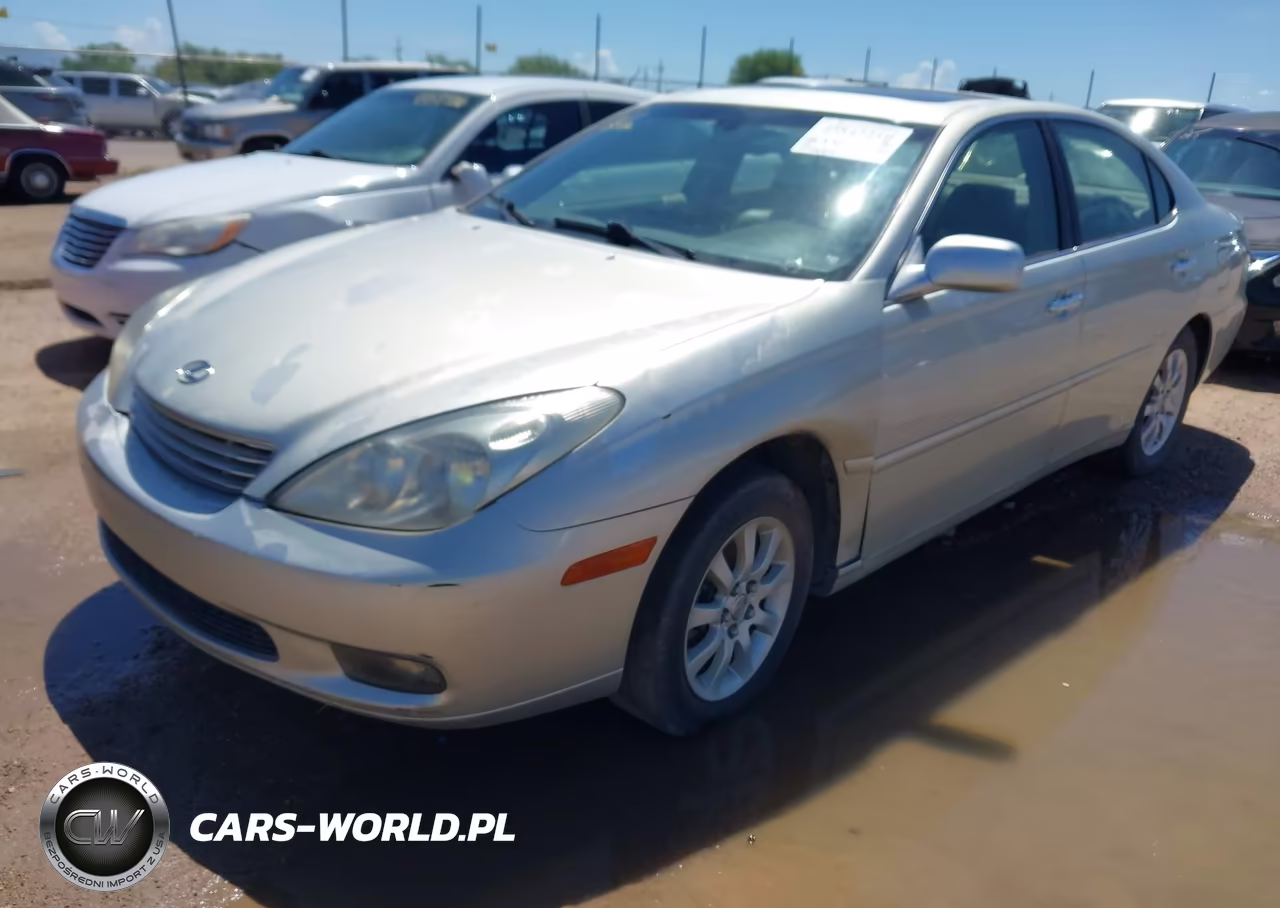 2003 Lexus Es 300 VIN:JTHBF30G636012479 - 2